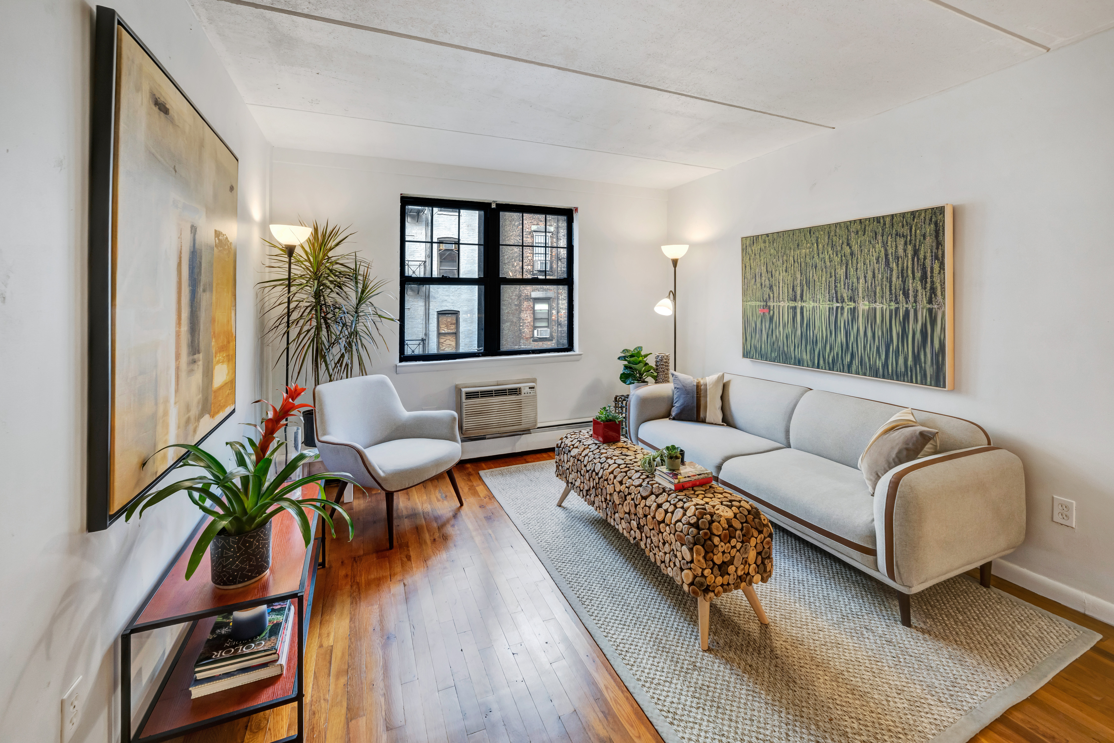 a living room with furniture and a potted plant