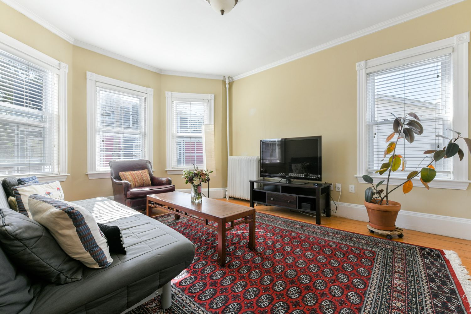 Contact Agent | 21 Plainfield Street, Unit 2 | Jamaica Plain