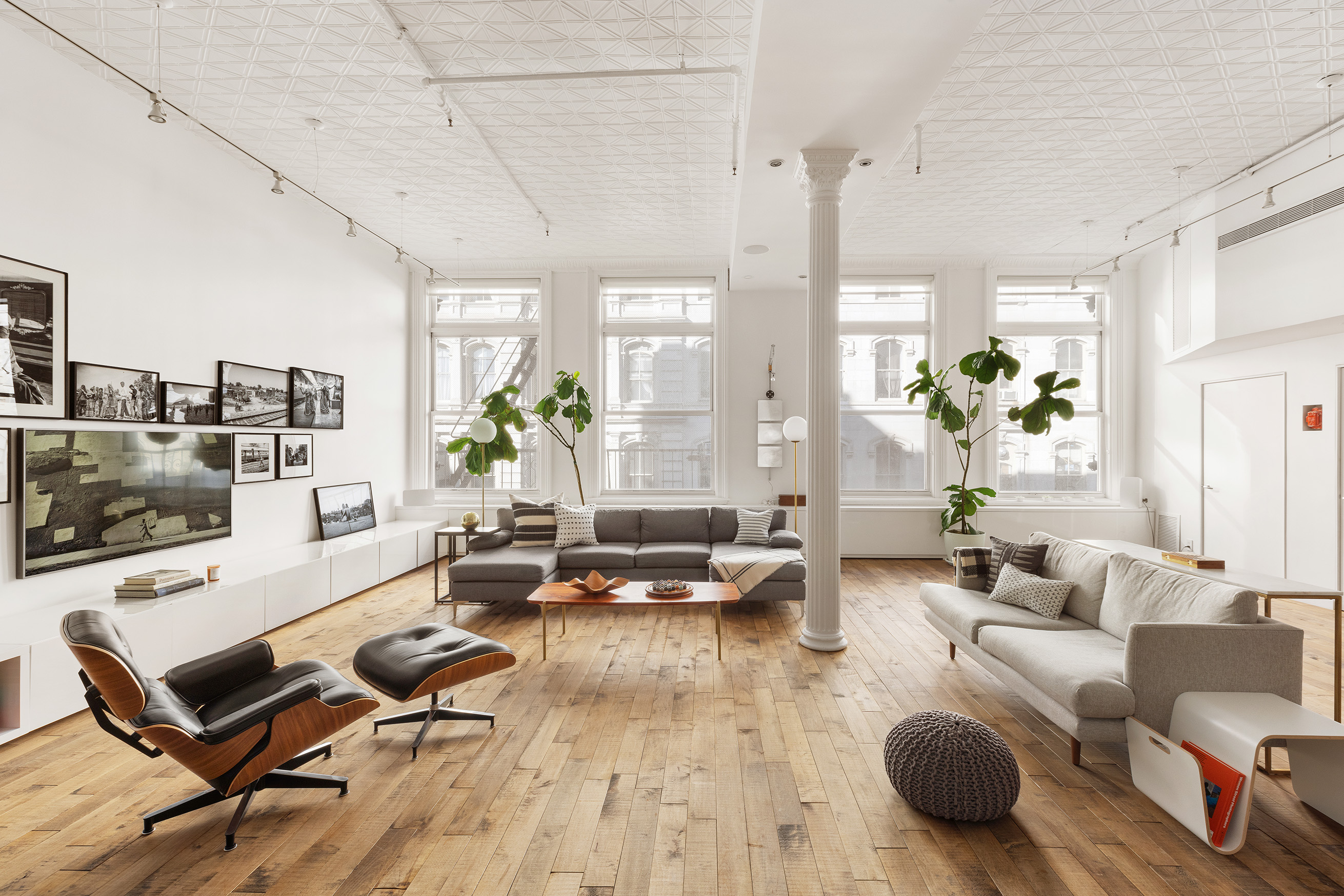 a living room with furniture and a potted plant