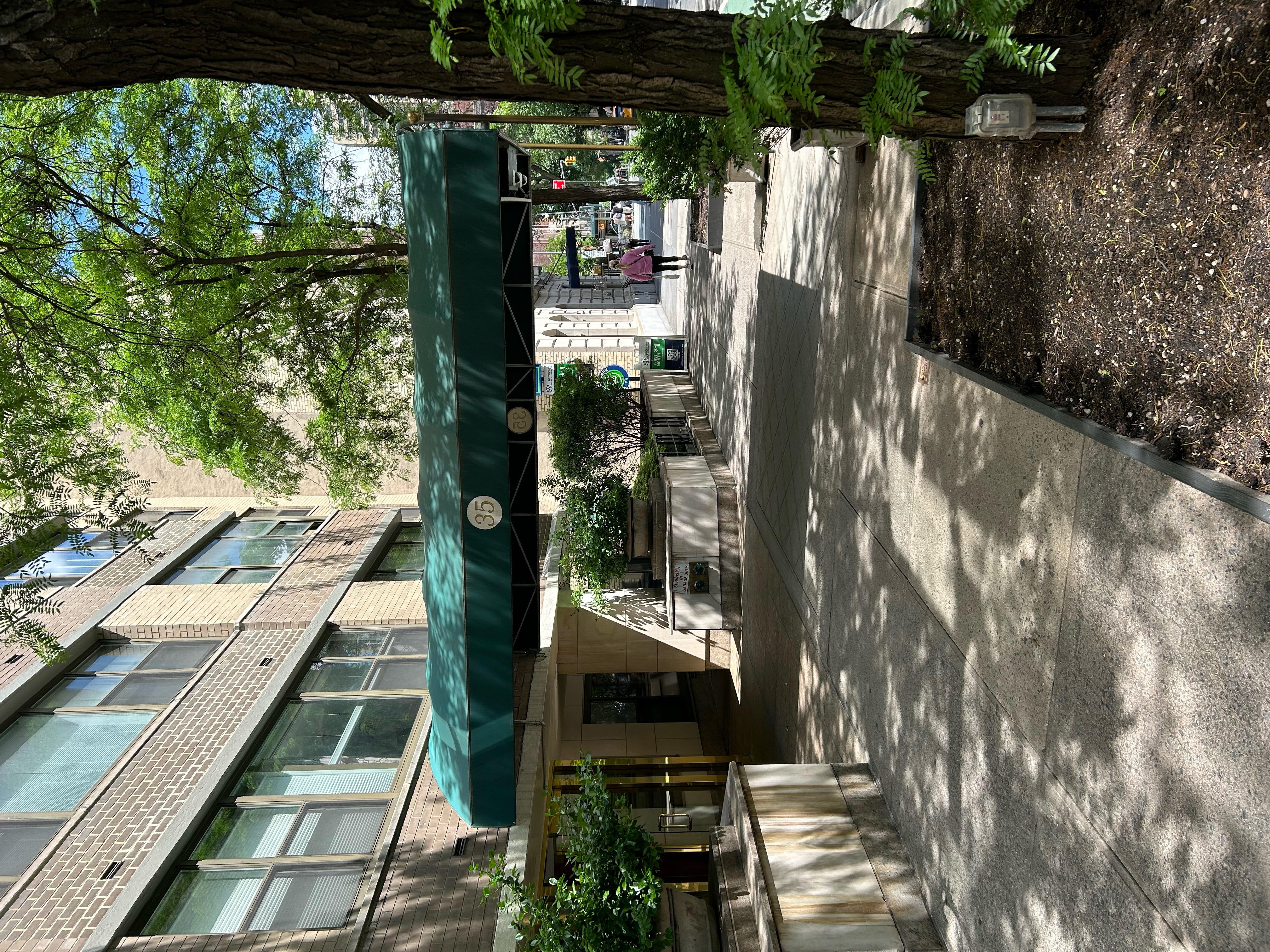 a view of street with small trees