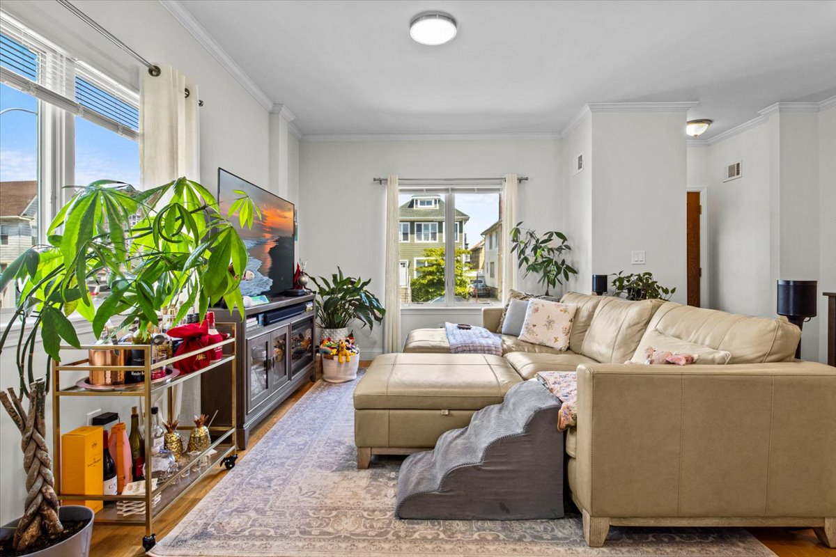 a living room with furniture and a potted plant