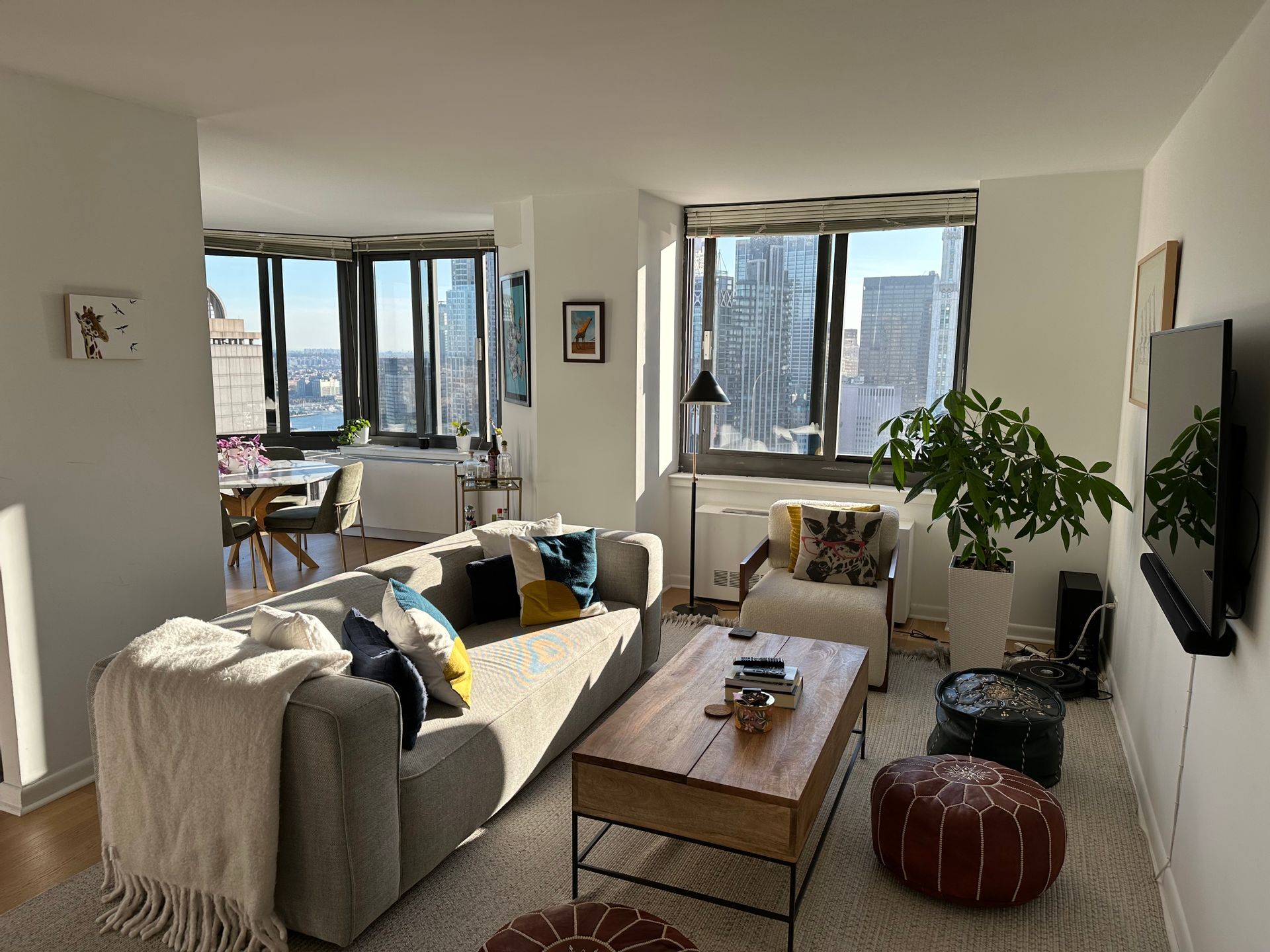 a living room with furniture and a potted plant