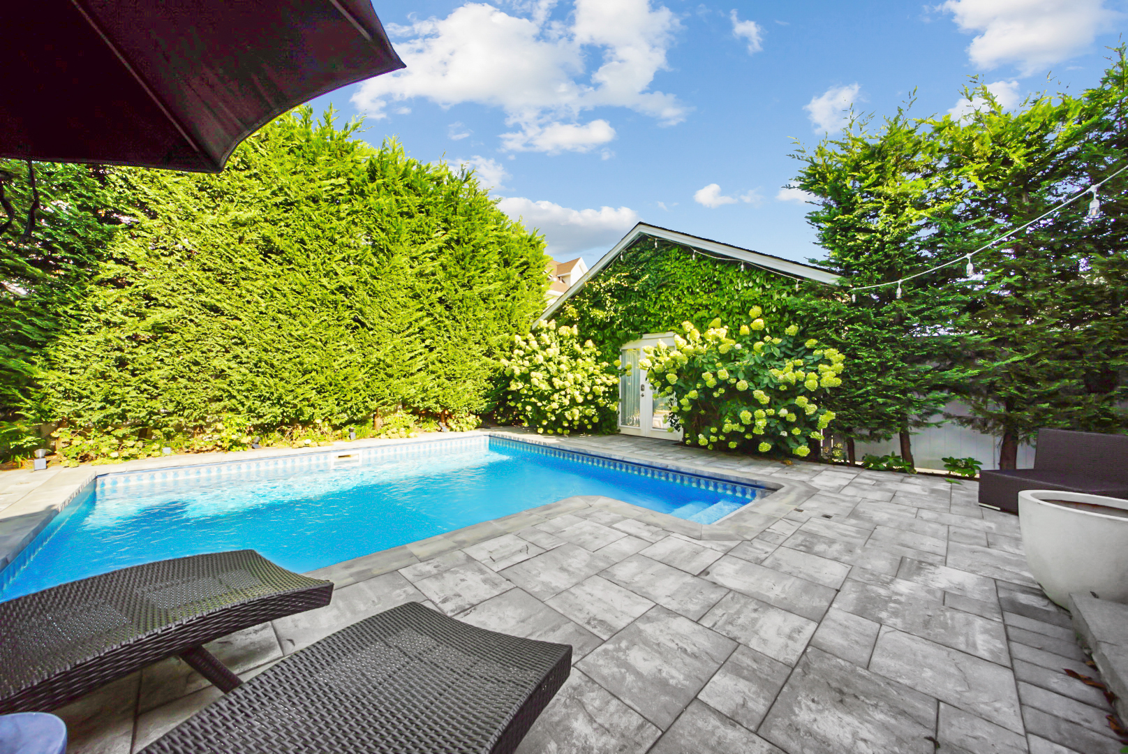 a view of swimming pool from a yard