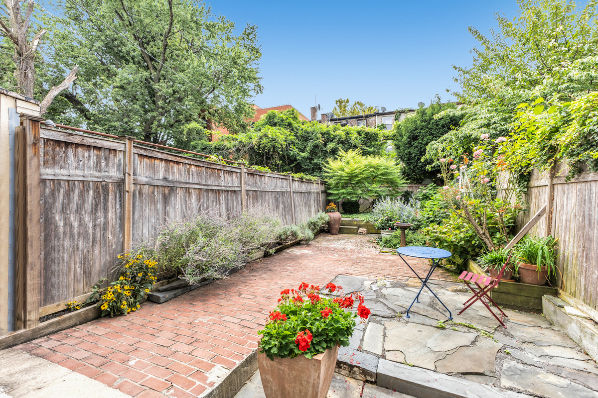 a view of a backyard with potted plants and large tree