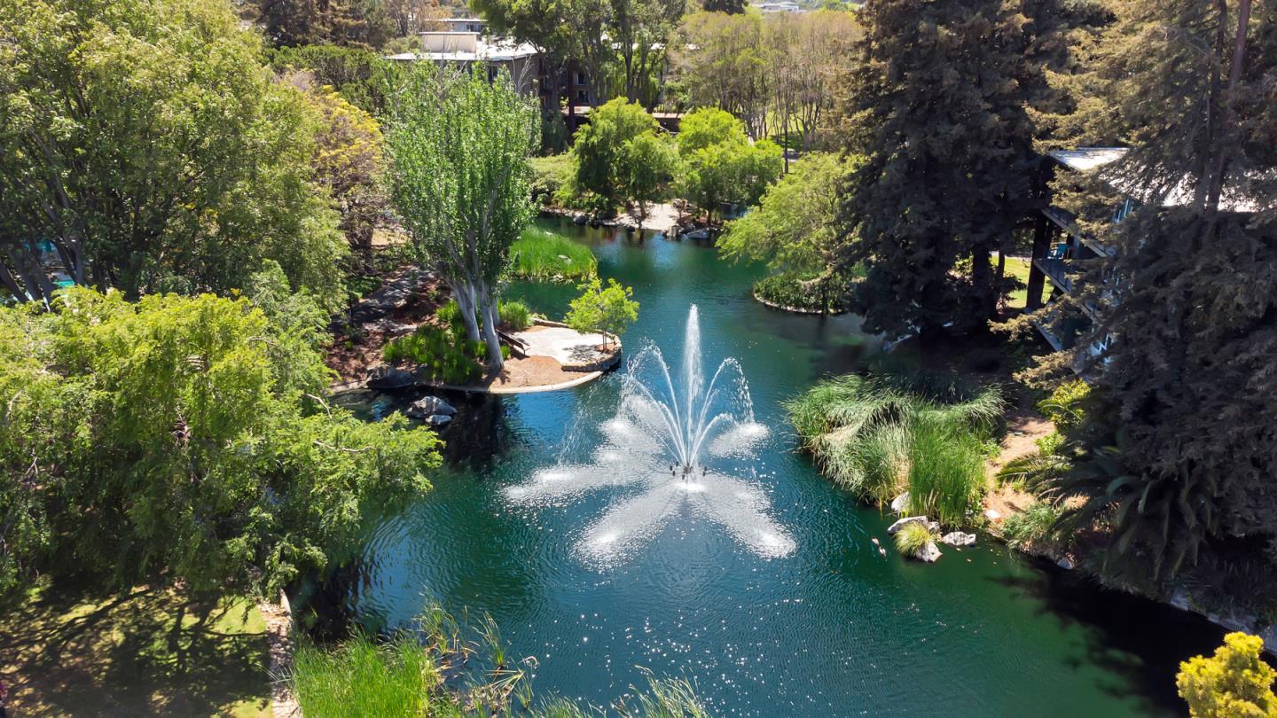 a view of a garden with a fountain