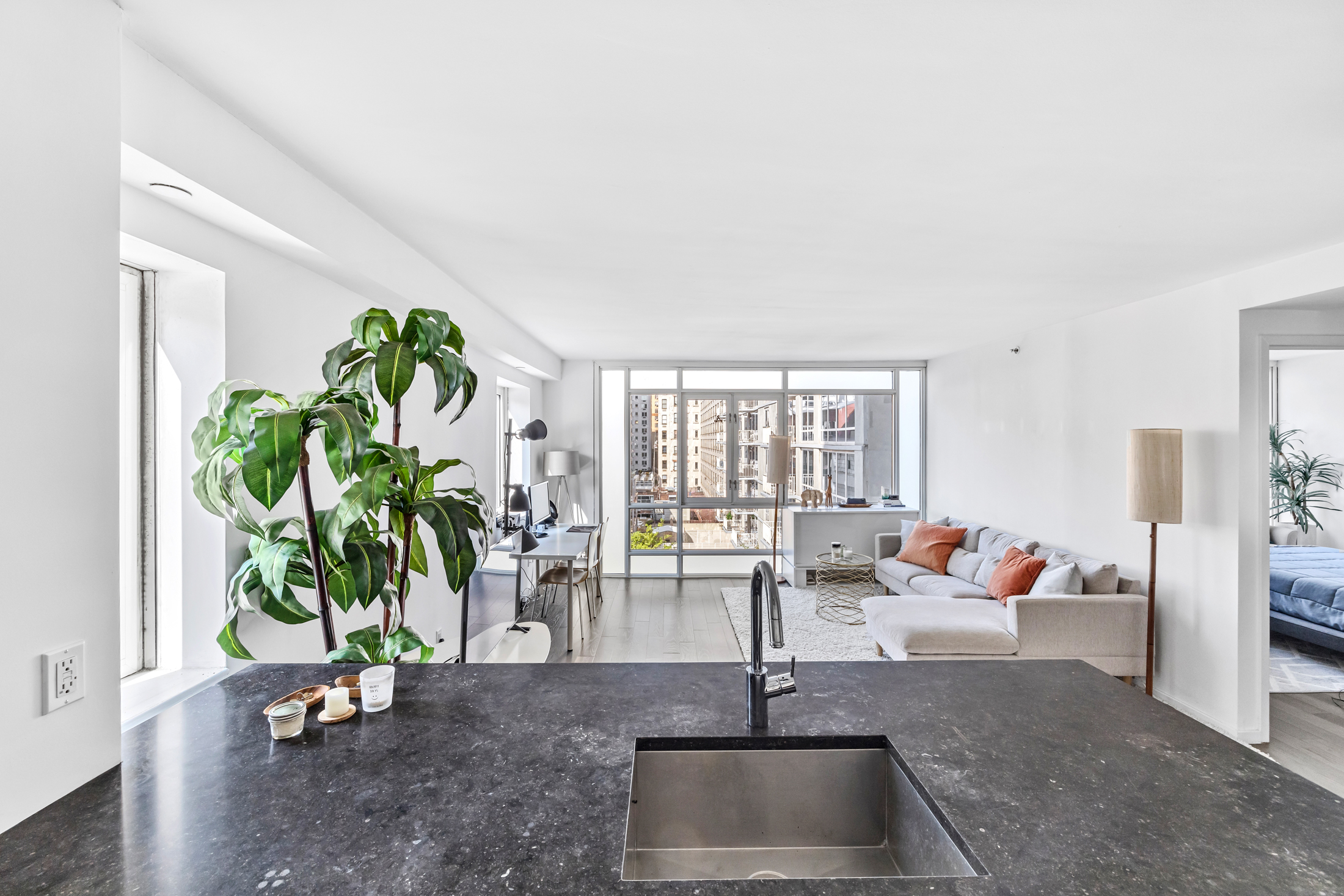 a living room with furniture and a potted plant