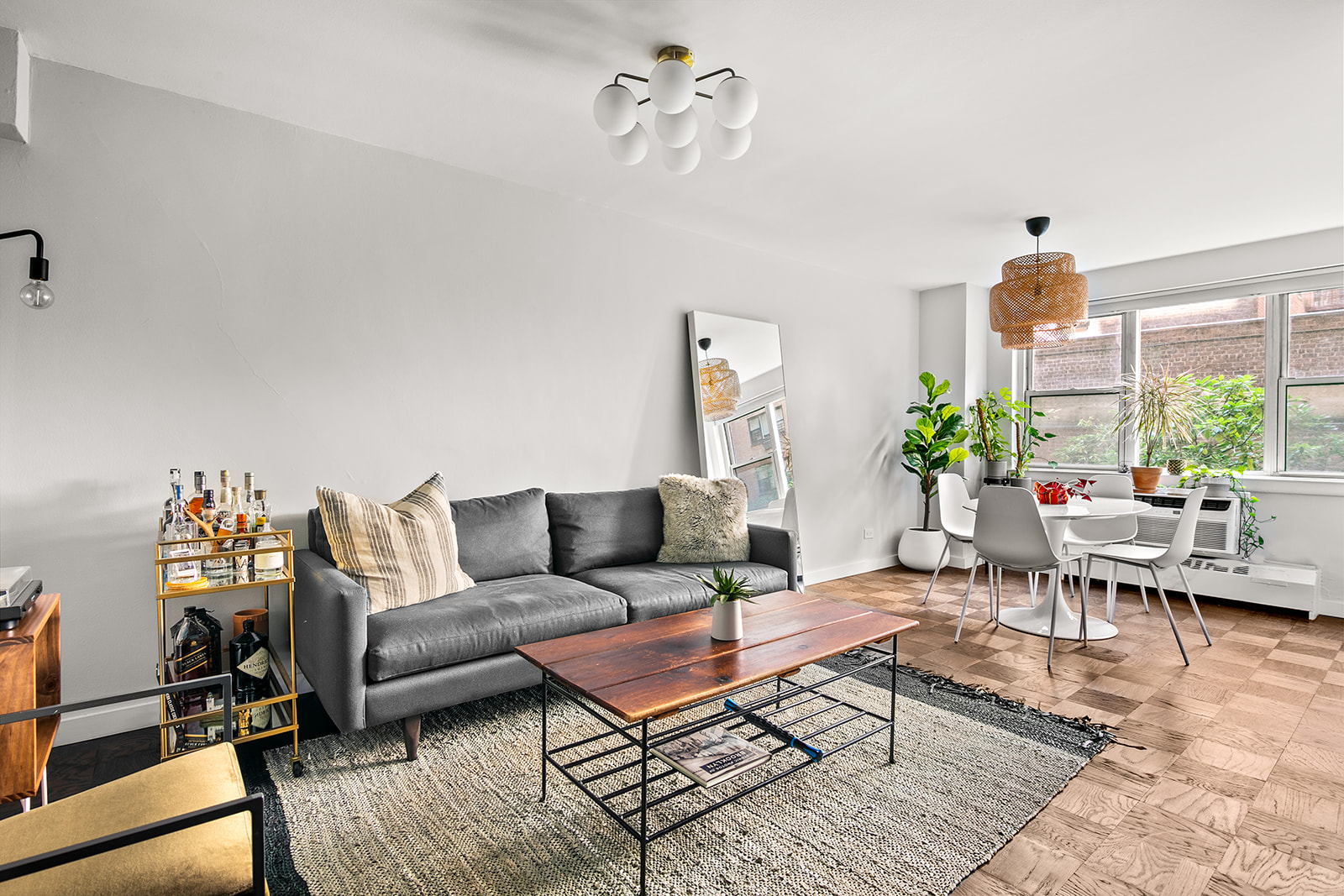 a living room with furniture potted plant and a window