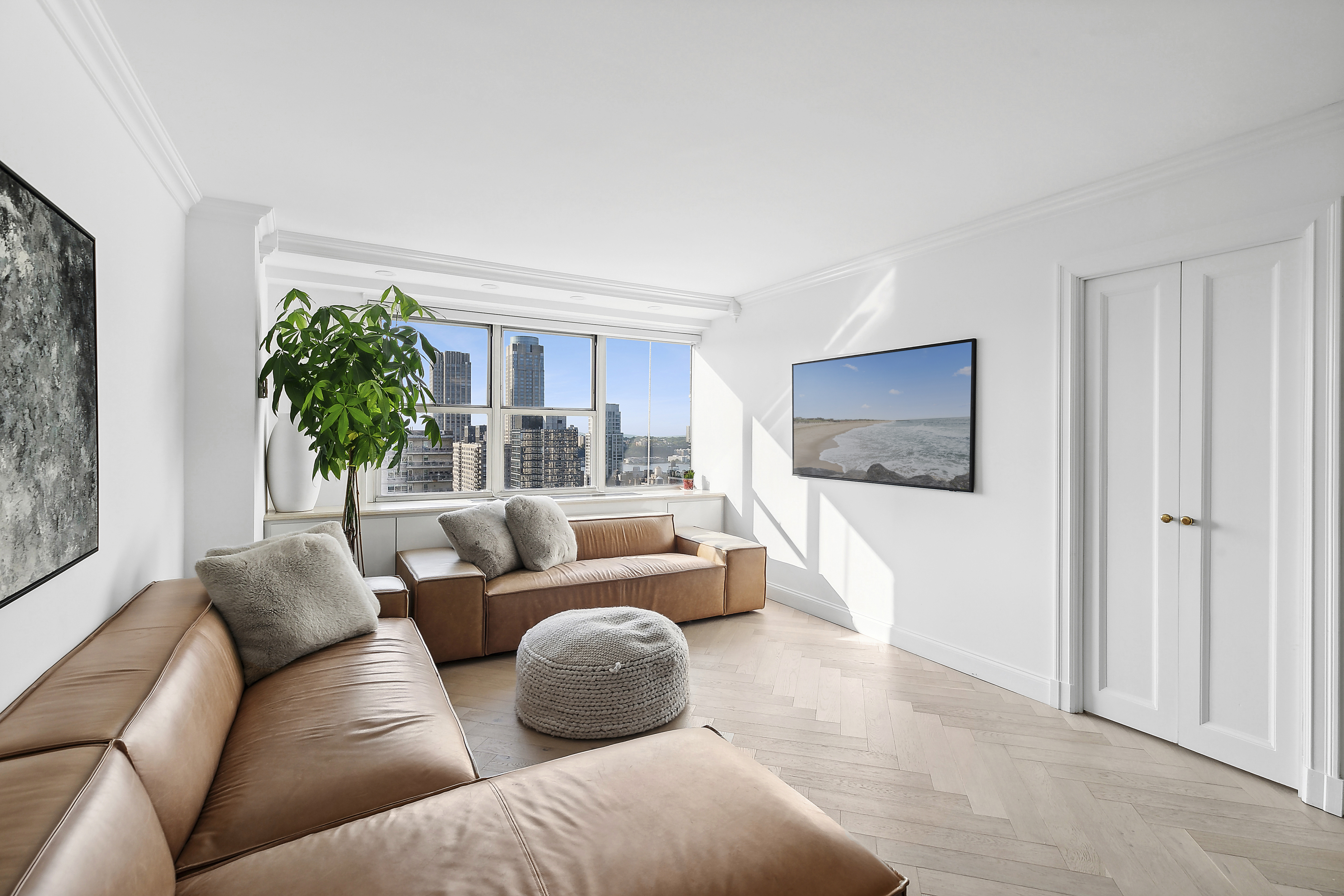 a living room with furniture and a potted plant