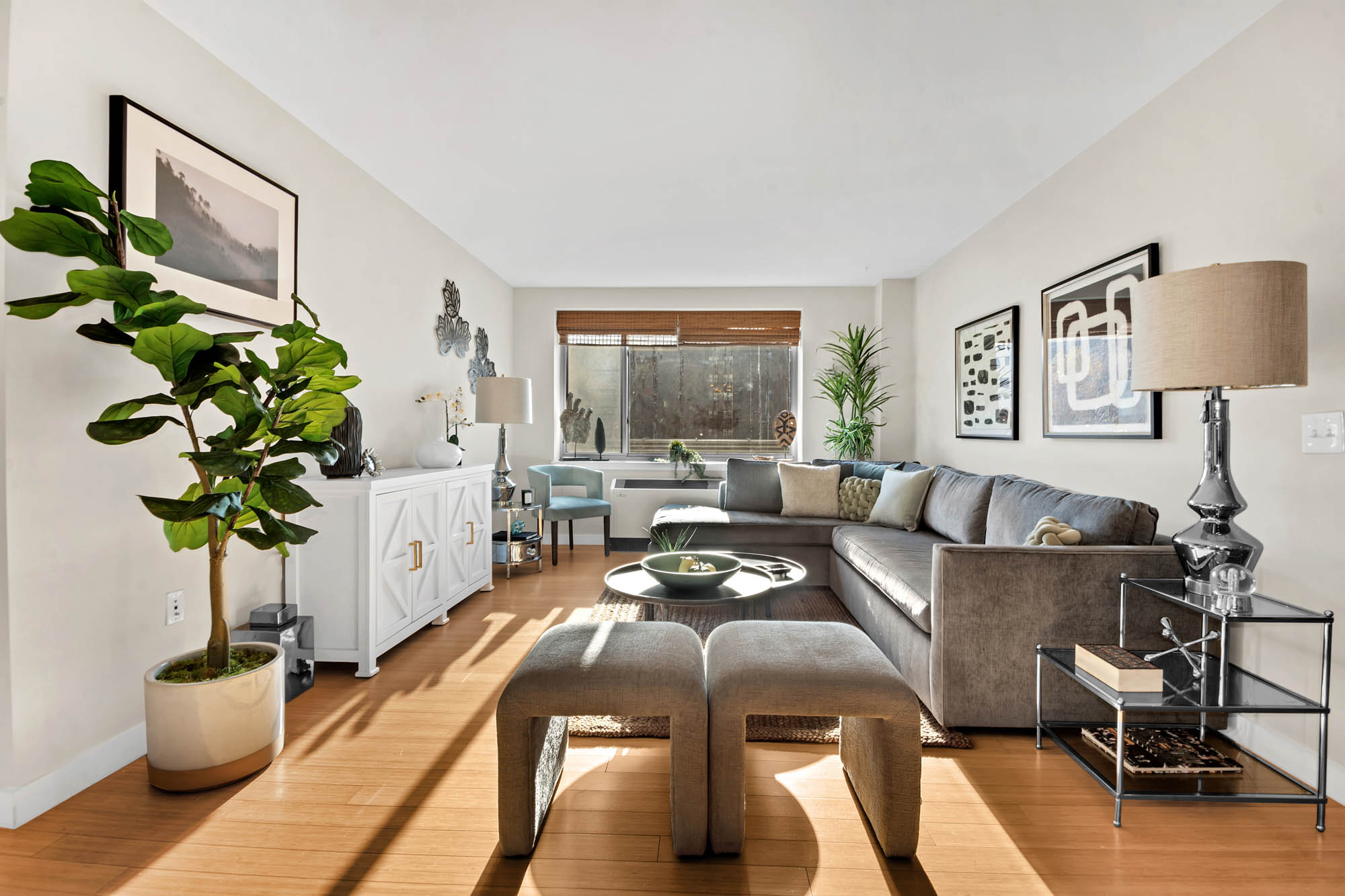 a living room with furniture and a potted plant