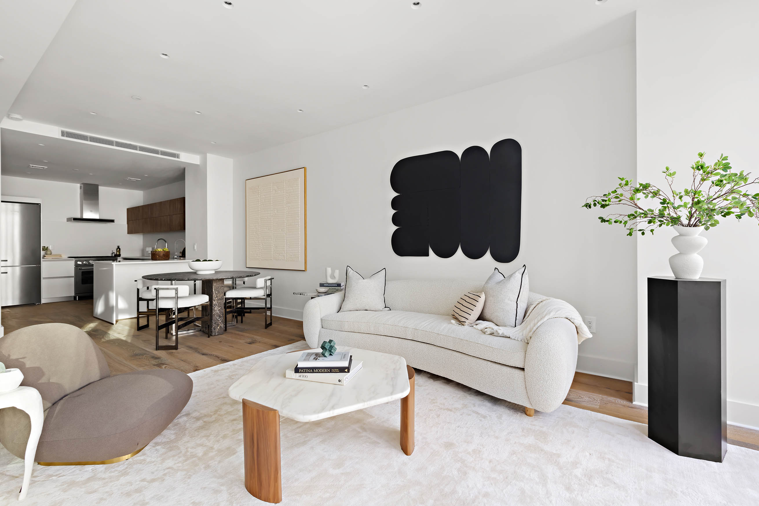 a living room with furniture and a potted plant