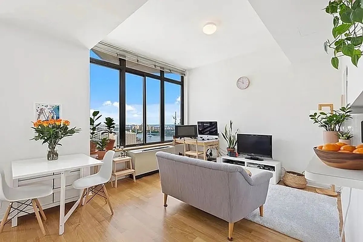 a living room with furniture and a potted plant