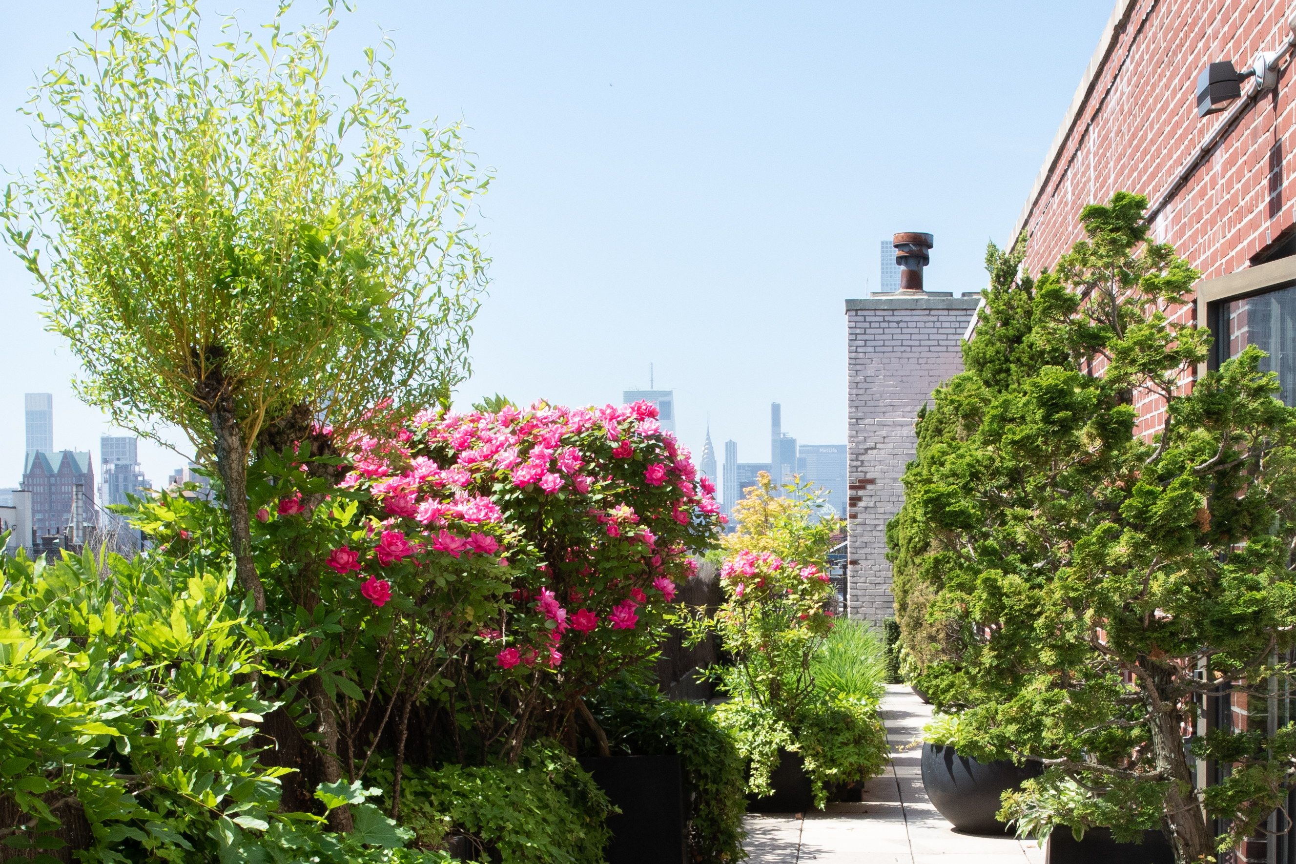 a view of a flower arrangement in a garden