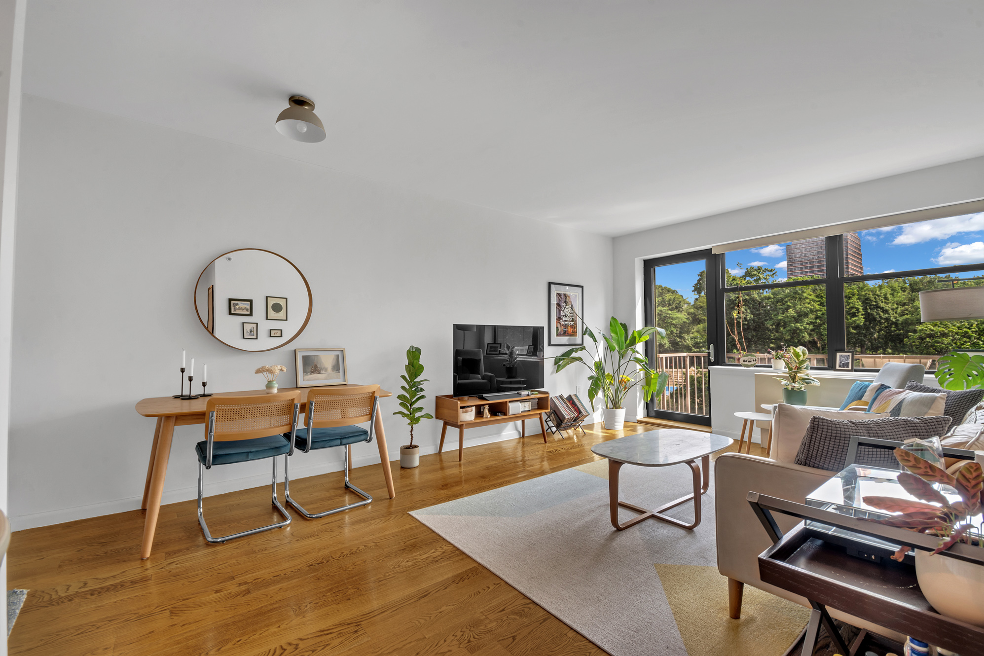 a living room with furniture a rug potted plant and a large window