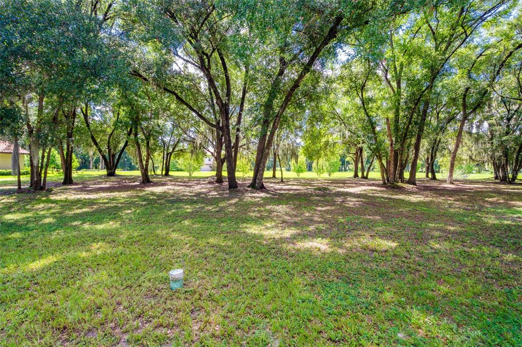 a view of outdoor space with green space