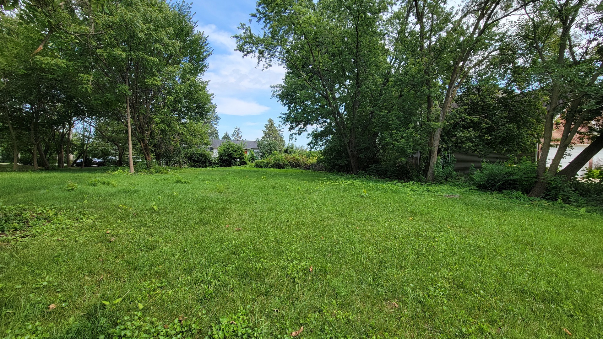 a view of a grassy field with trees in the background