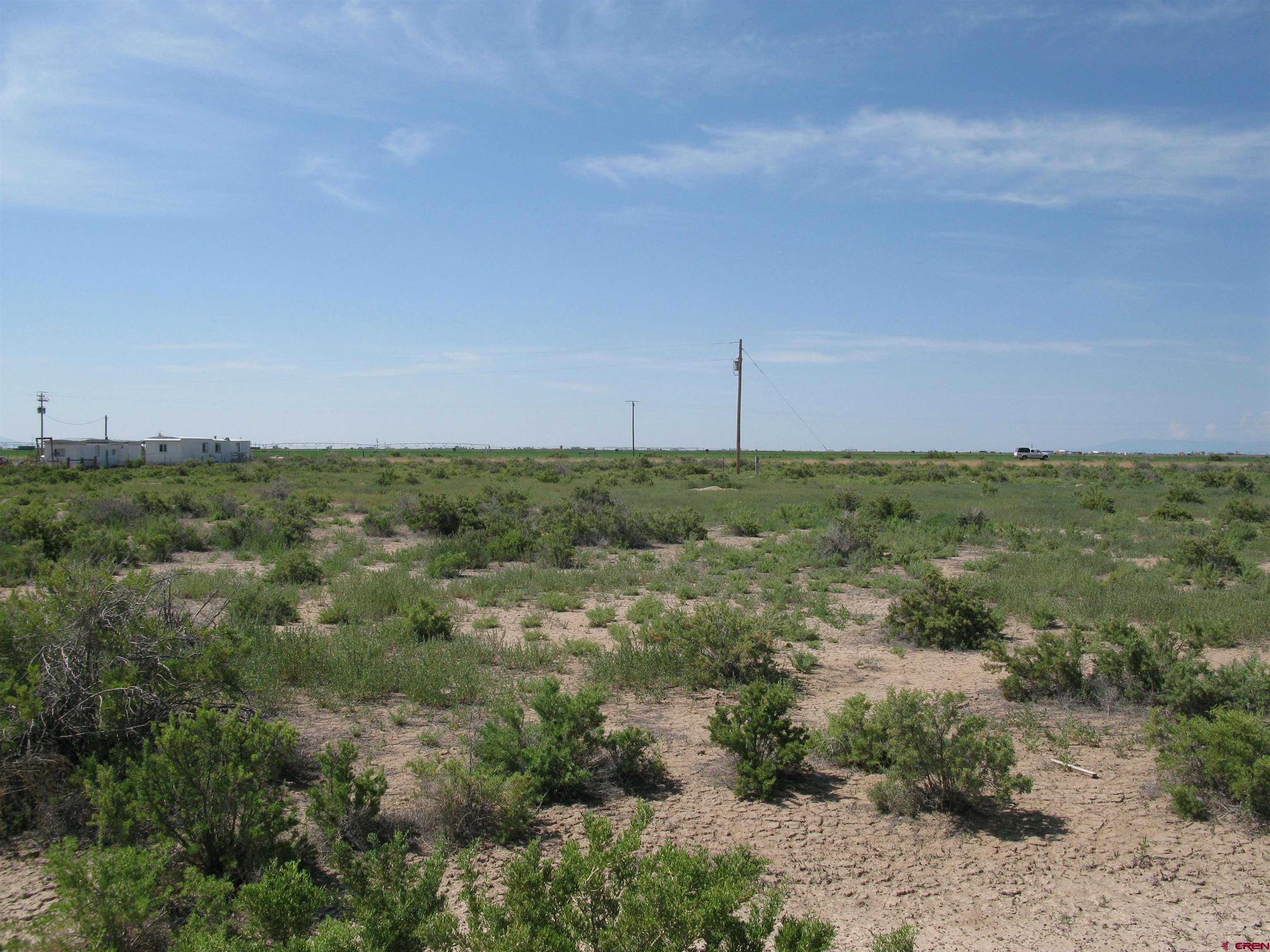 a view of a field with lots of bushes