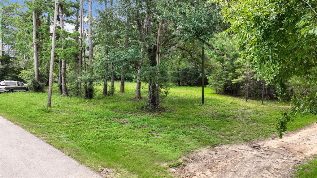 a view of park with trees