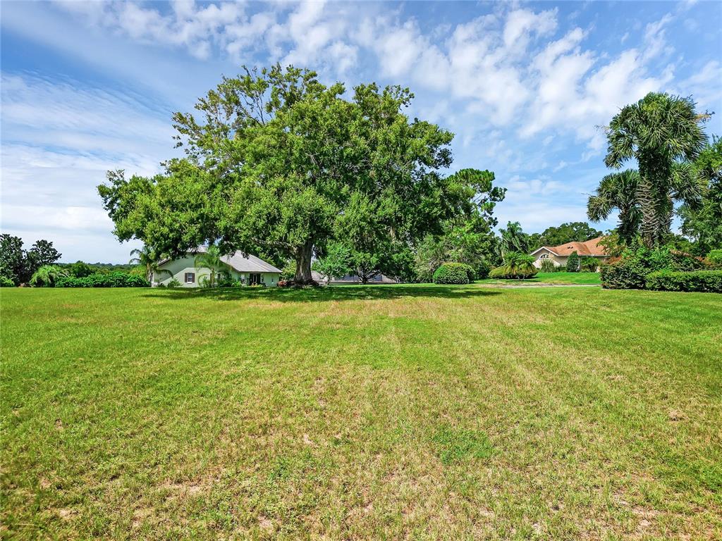 a view of yard with green space