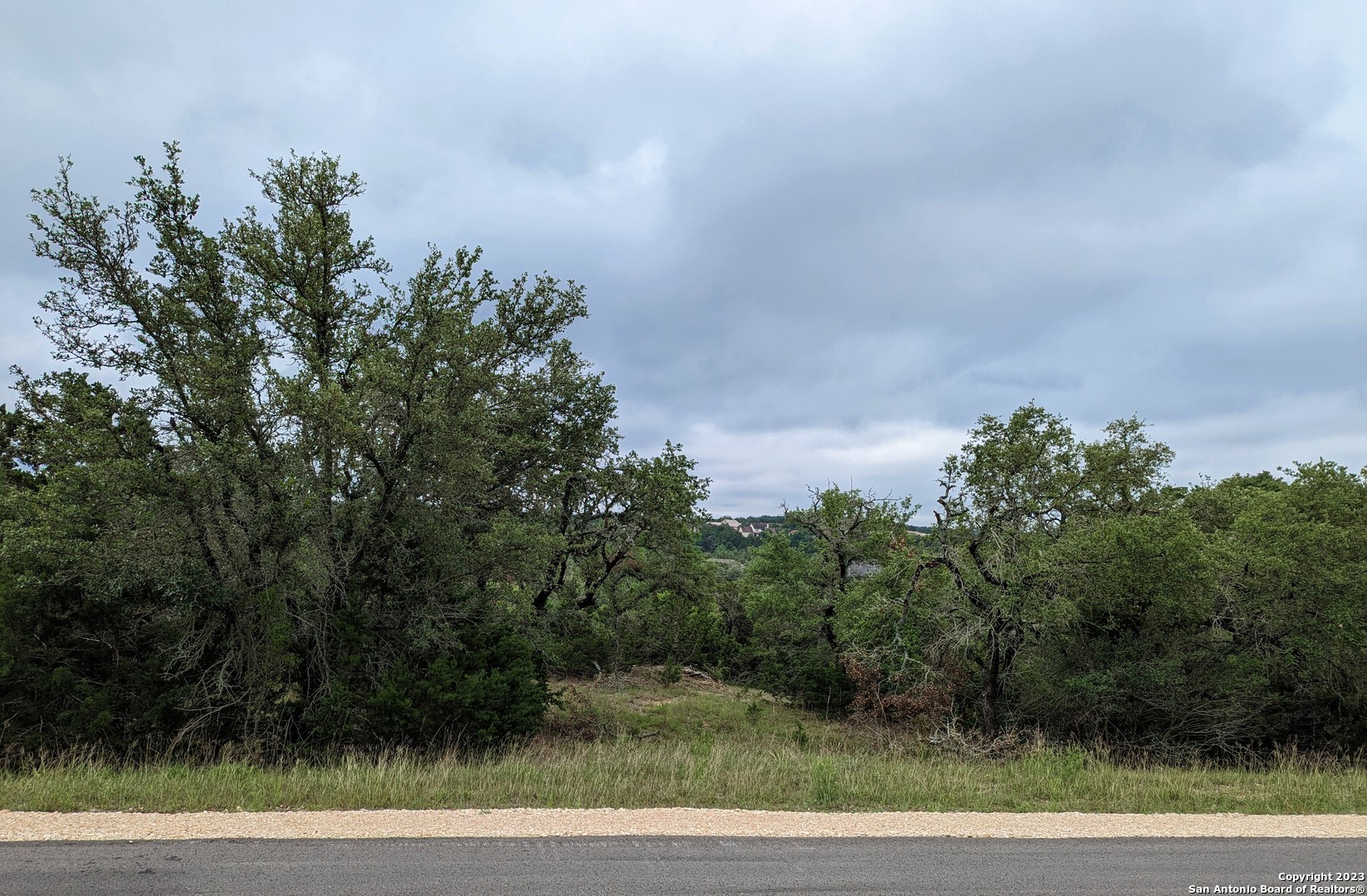 a view of a yard