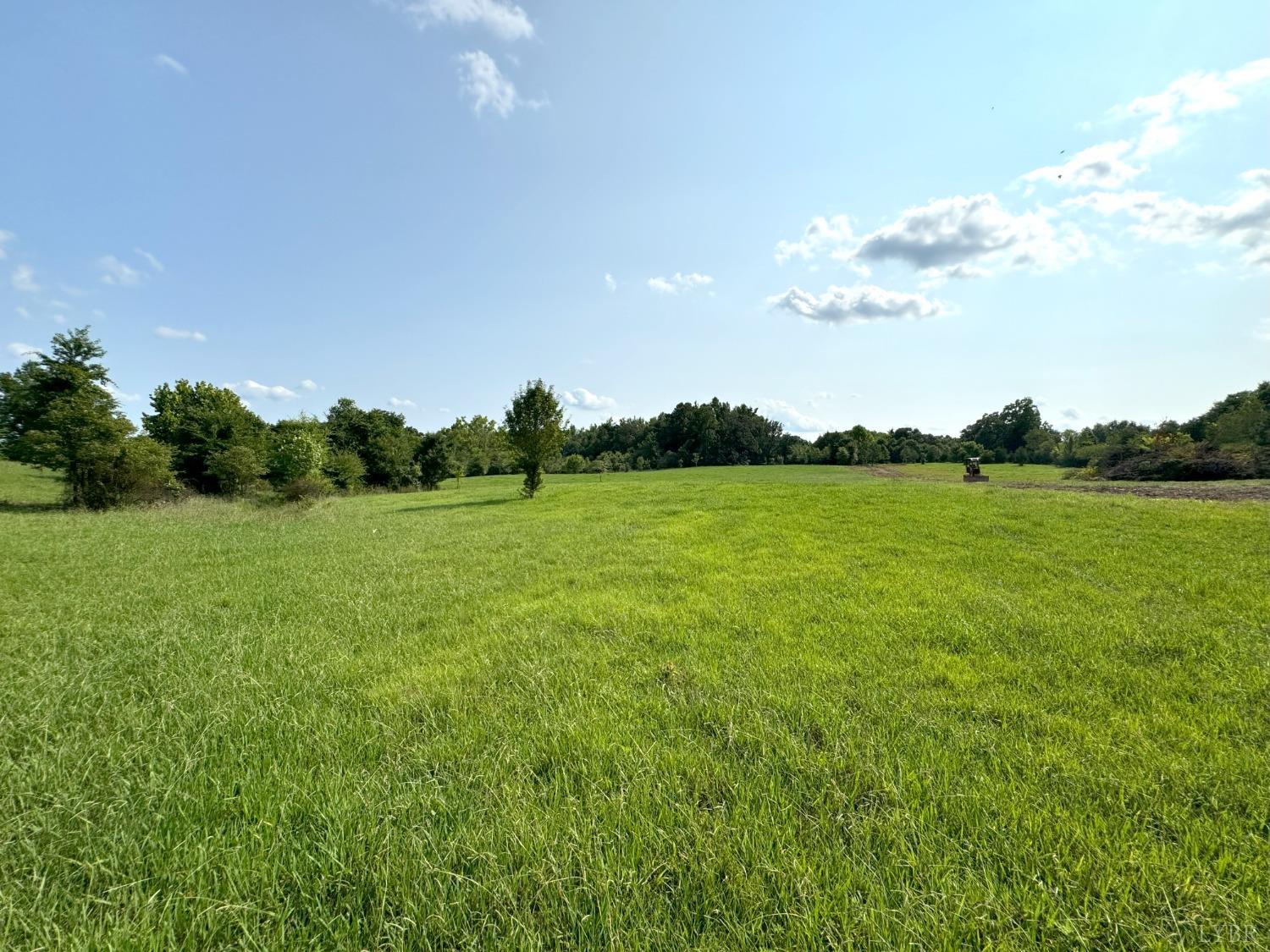 a view of a garden with an outdoor space