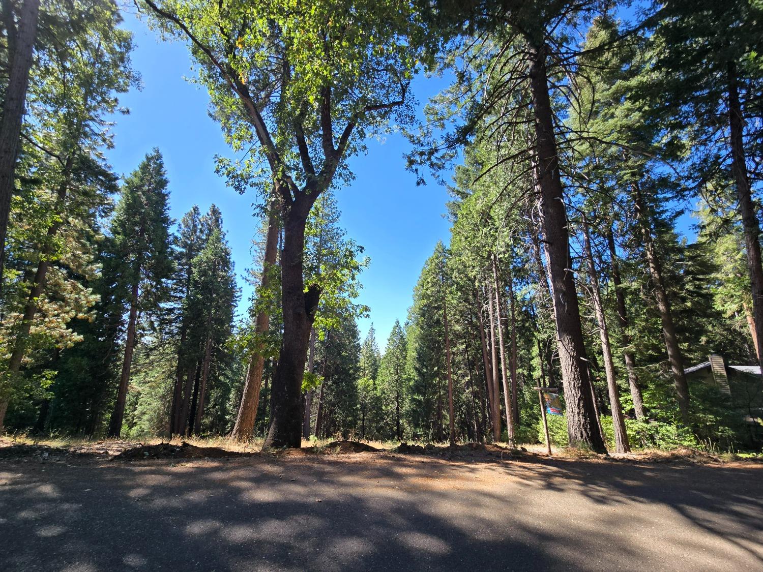 a view of outdoor space with trees