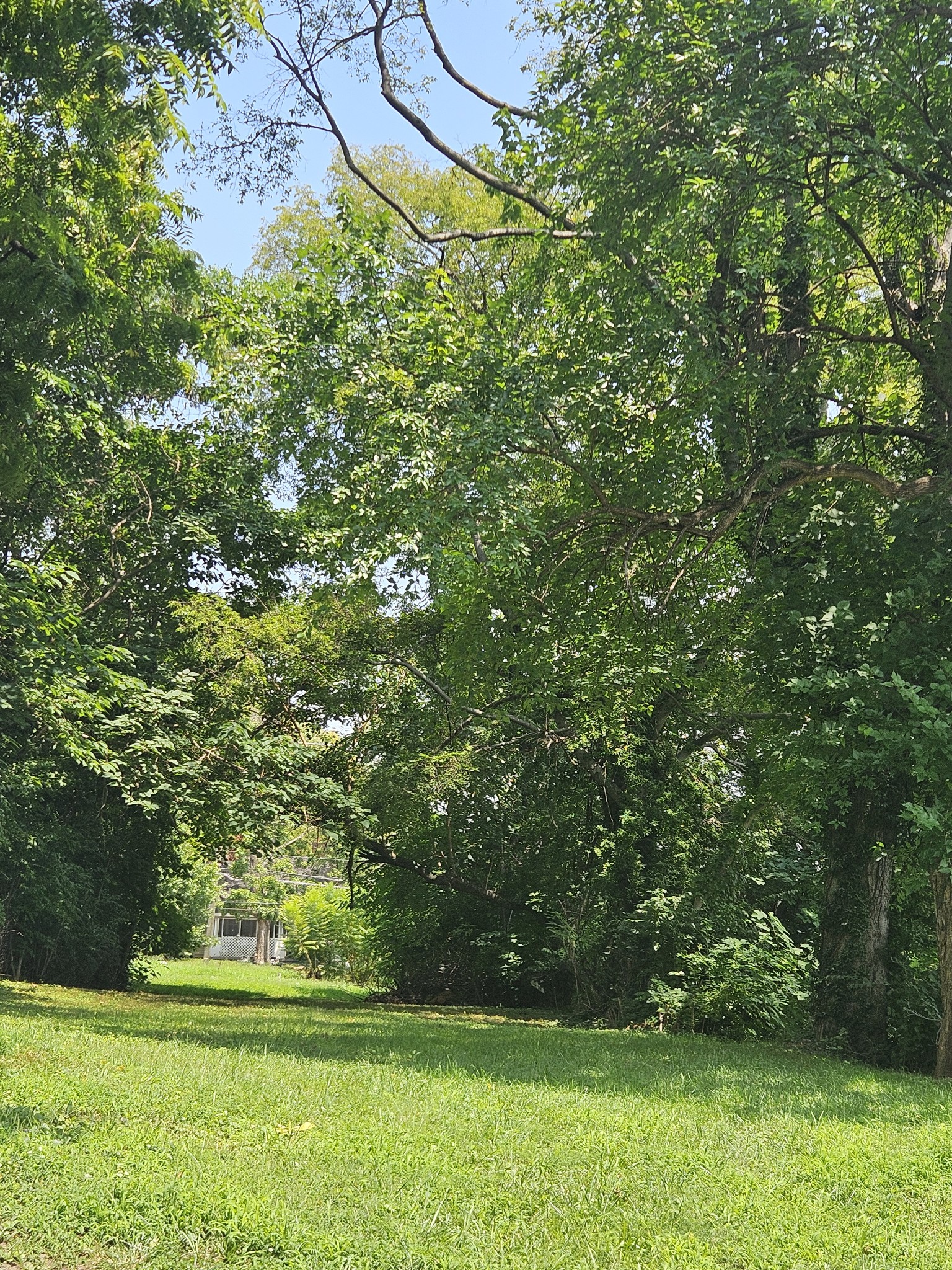 a backyard of a house with lots of green space and fountain