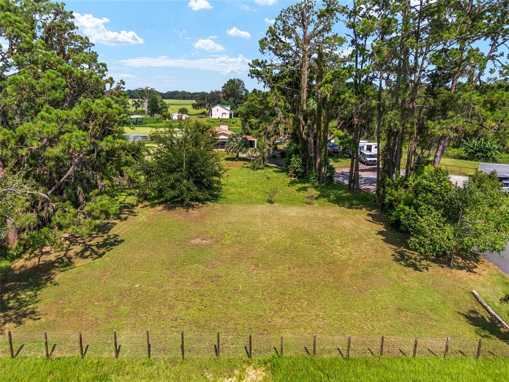 a view of a yard