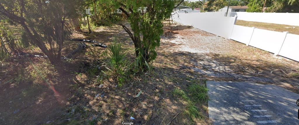 a view of a yard with a tree