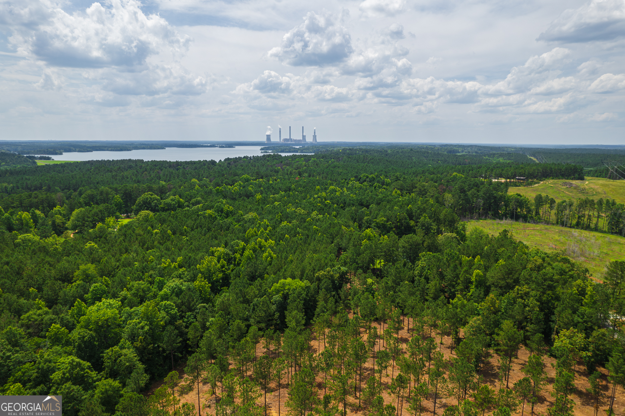 a view of a bunch of trees