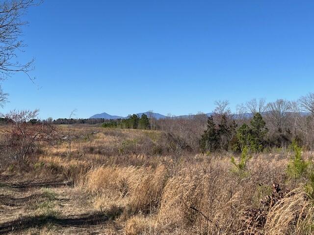 a view of mountain view with lots of trees