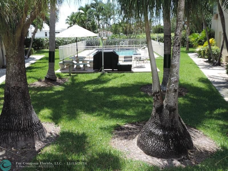 a view of a garden with a slide