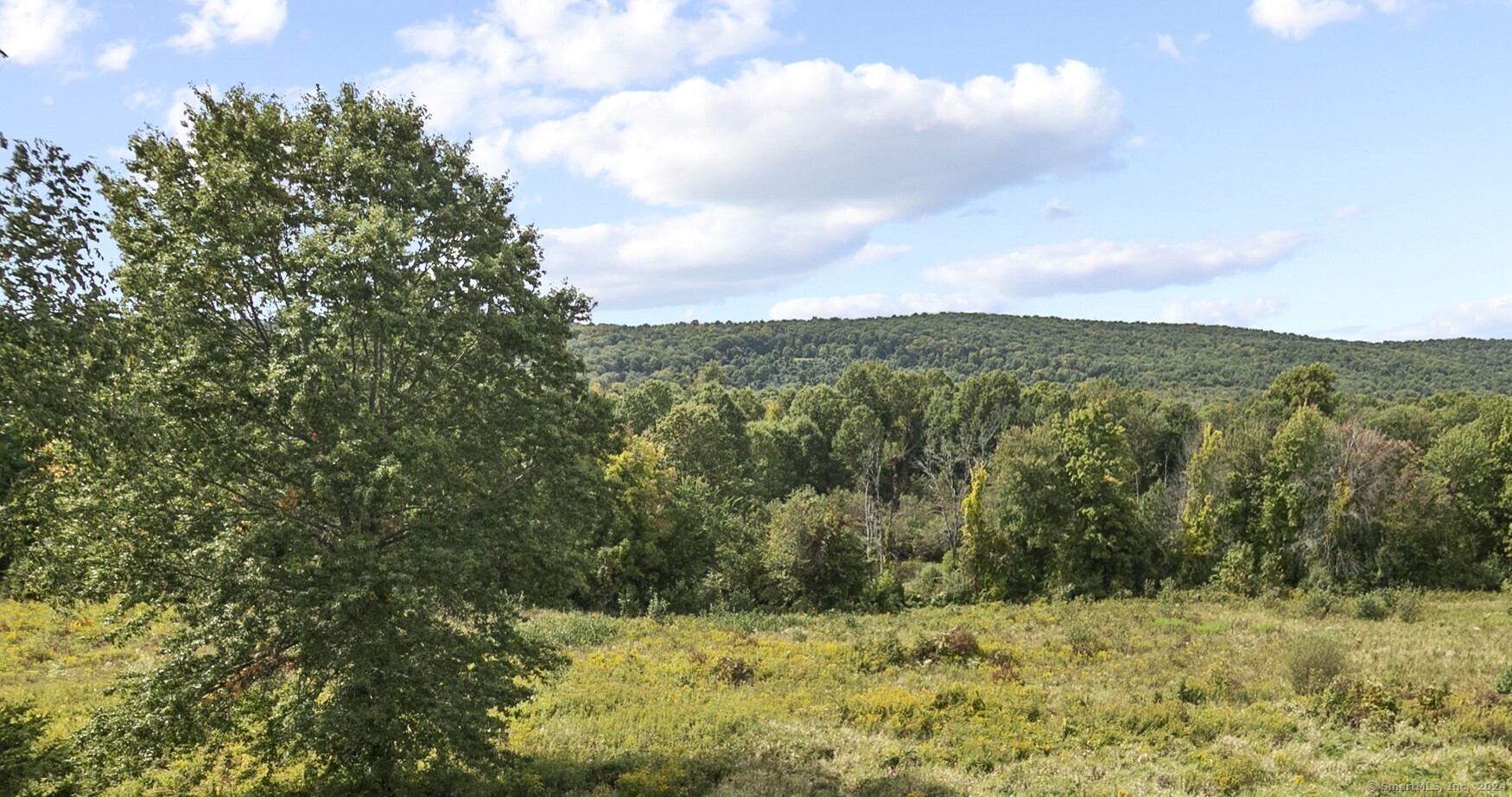 a view of a yard with a tree