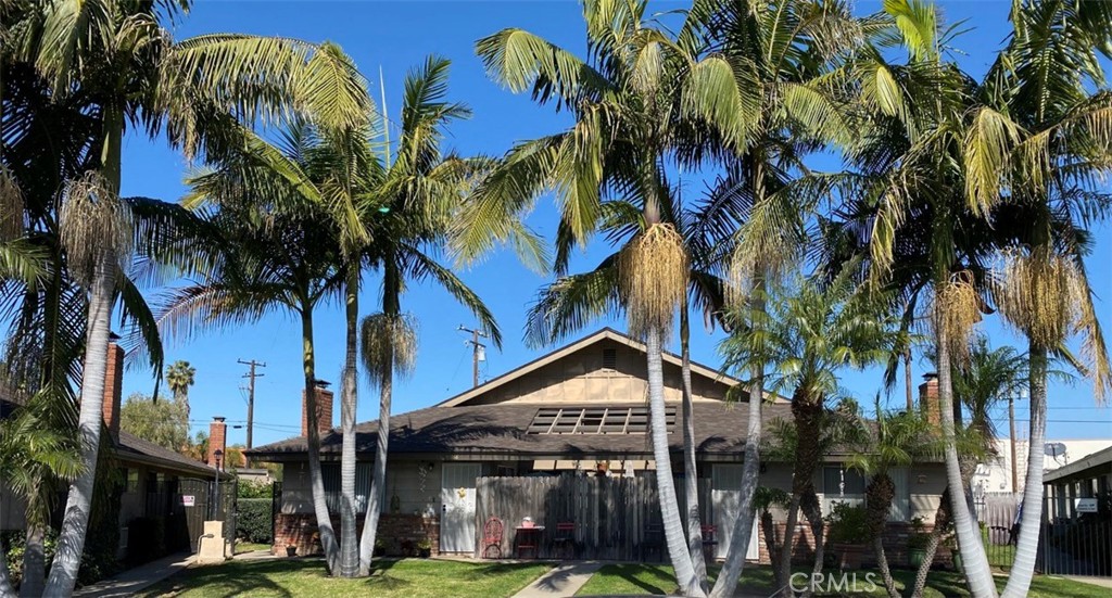 a view of a house with a palm tree