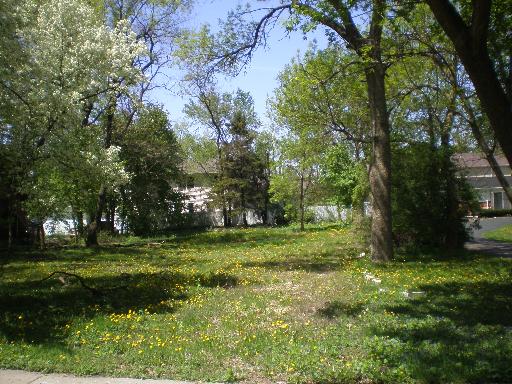 a view of a grassy field with trees