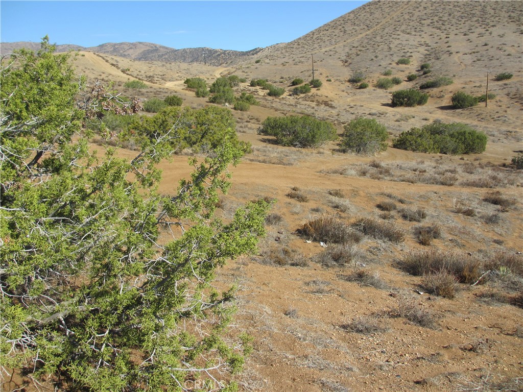 a view of a yard with a mountain