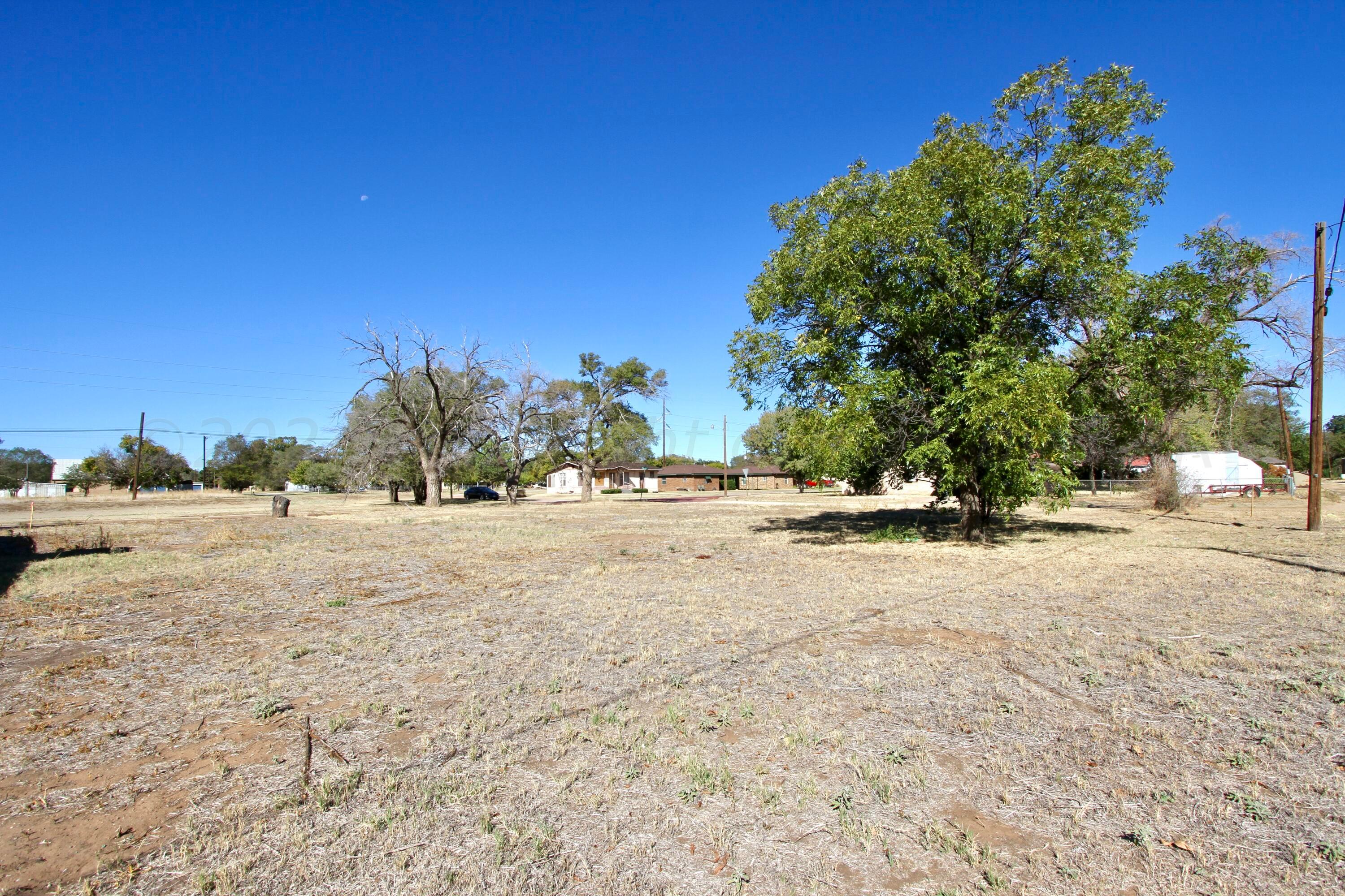 a view of dirt yard with a tree