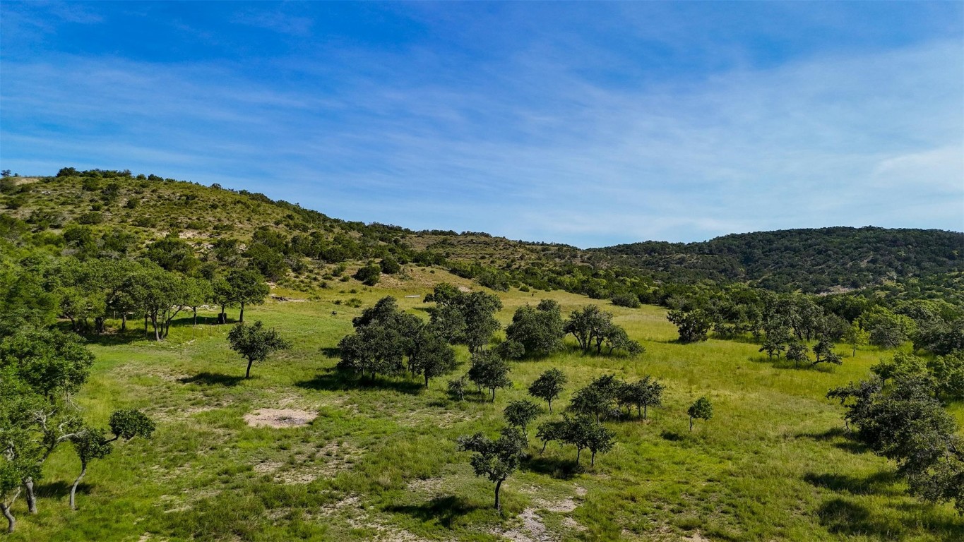 a view of a field with an ocean