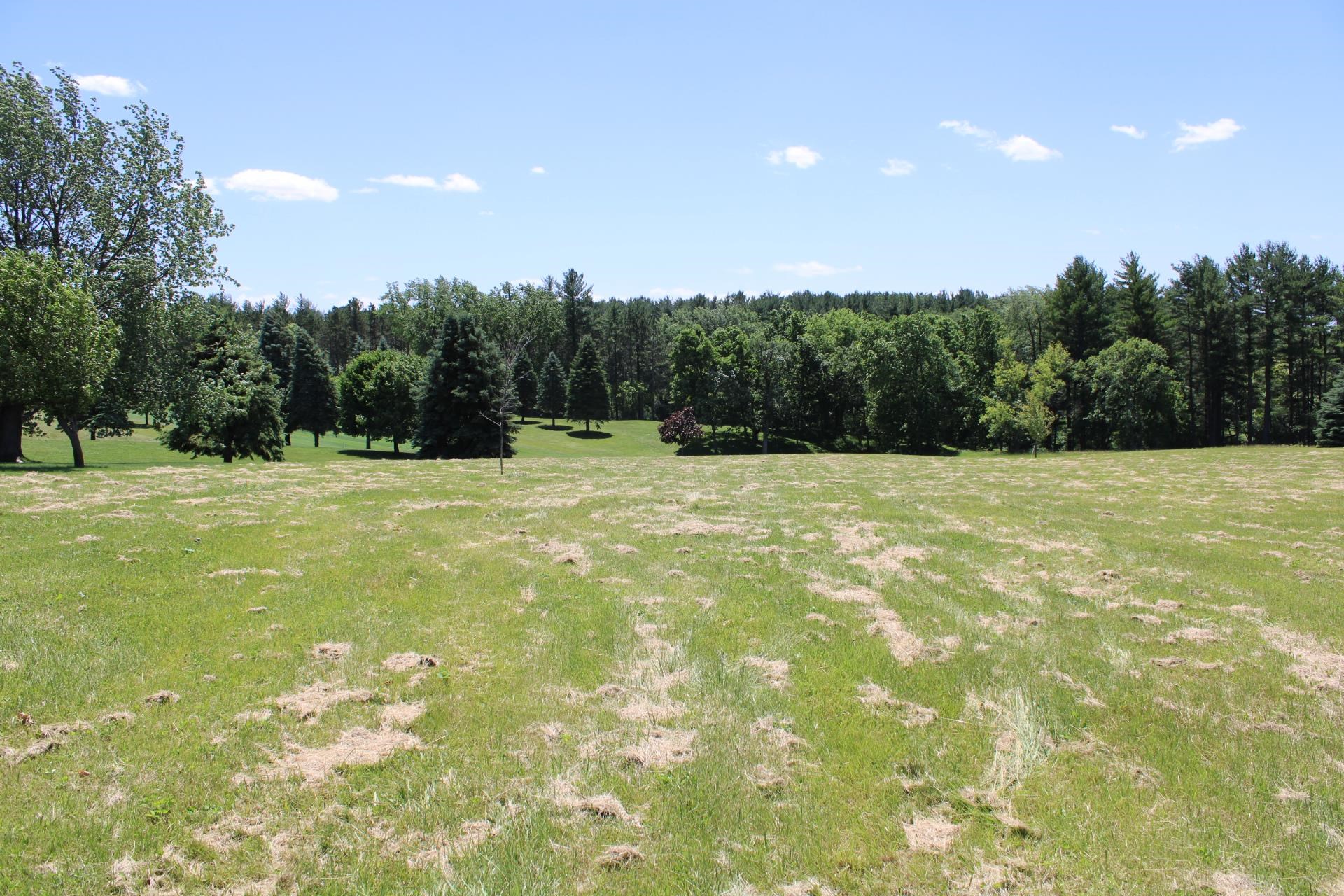 a swimming pool is in the middle of a field