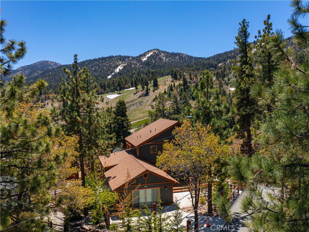 Ski slope views of Bear Mountain Resort