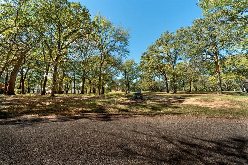 a view of a yard with a large tree