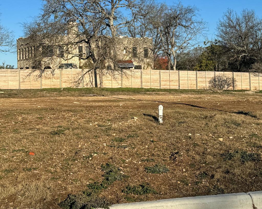 a view of yard with trees