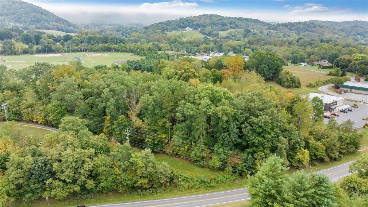 an aerial view of residential houses with outdoor space and trees