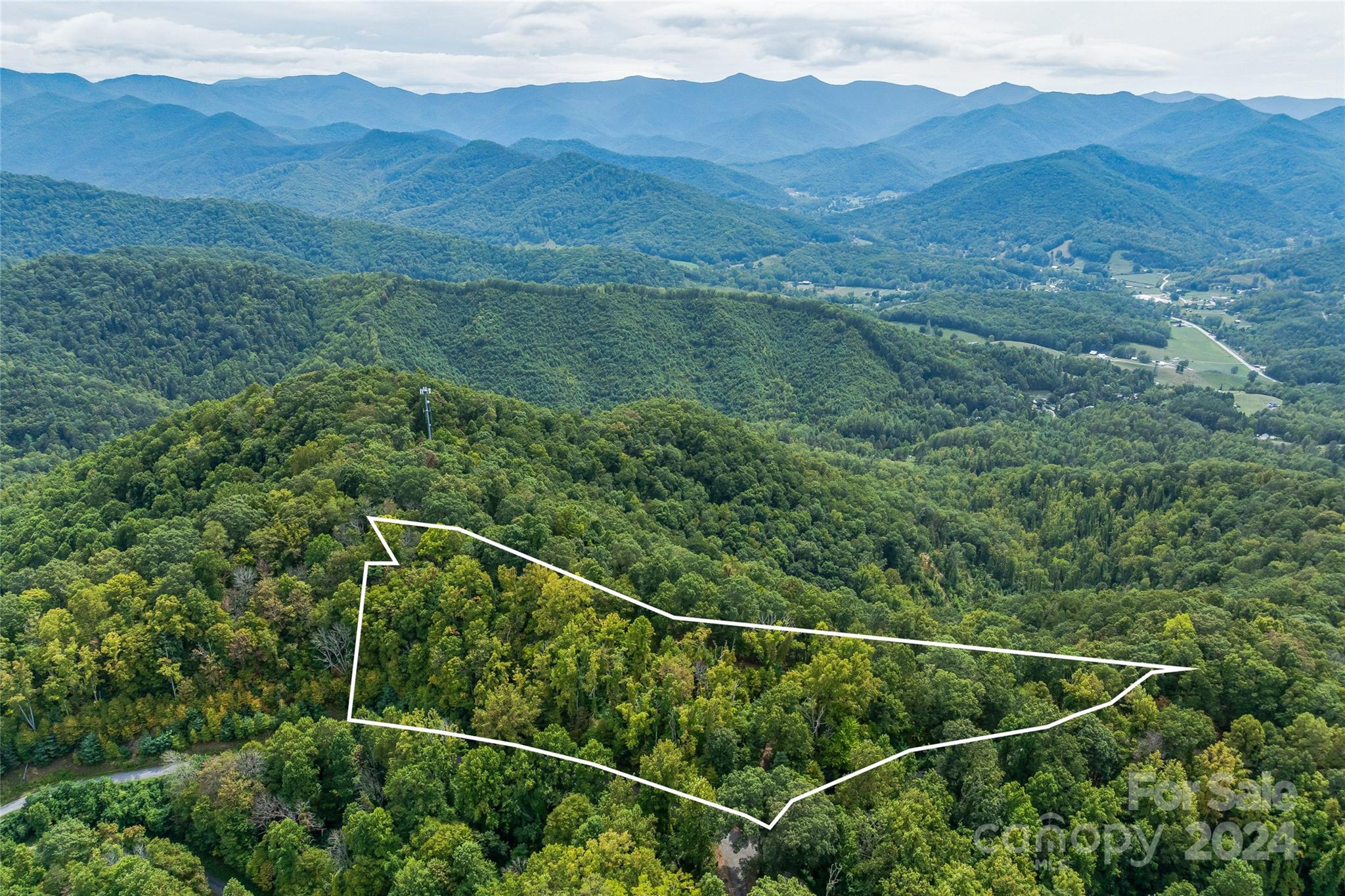 a view of a forest with a mountain and trees