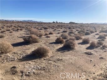 a view of a dry yard