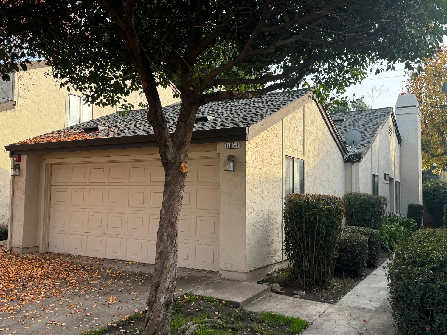 a view of a house with a tree