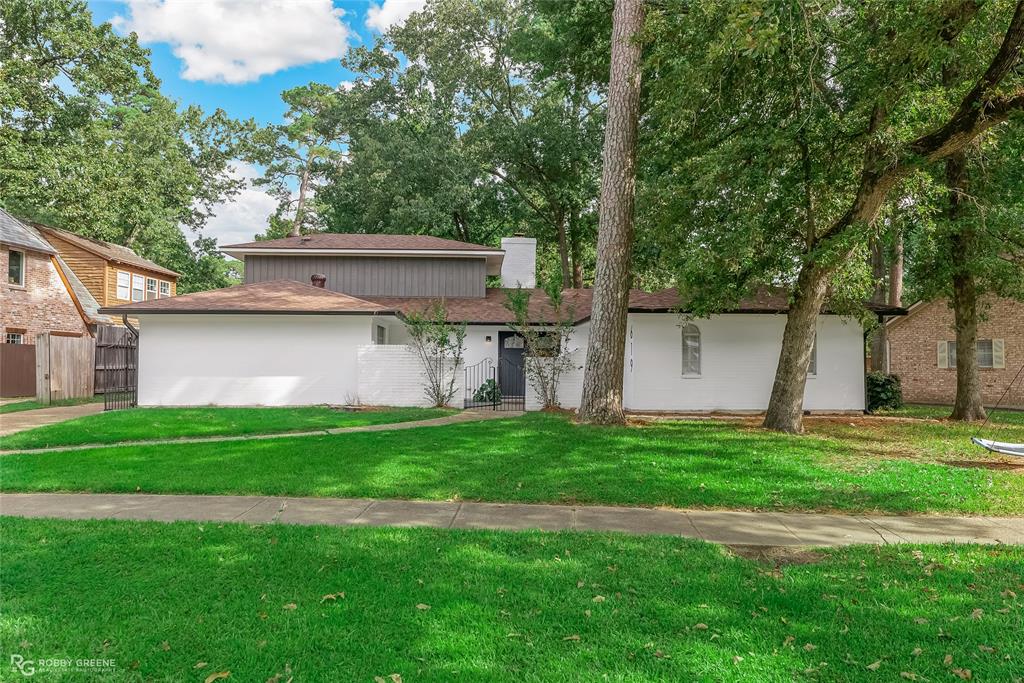 a backyard of a house with plants and a large tree