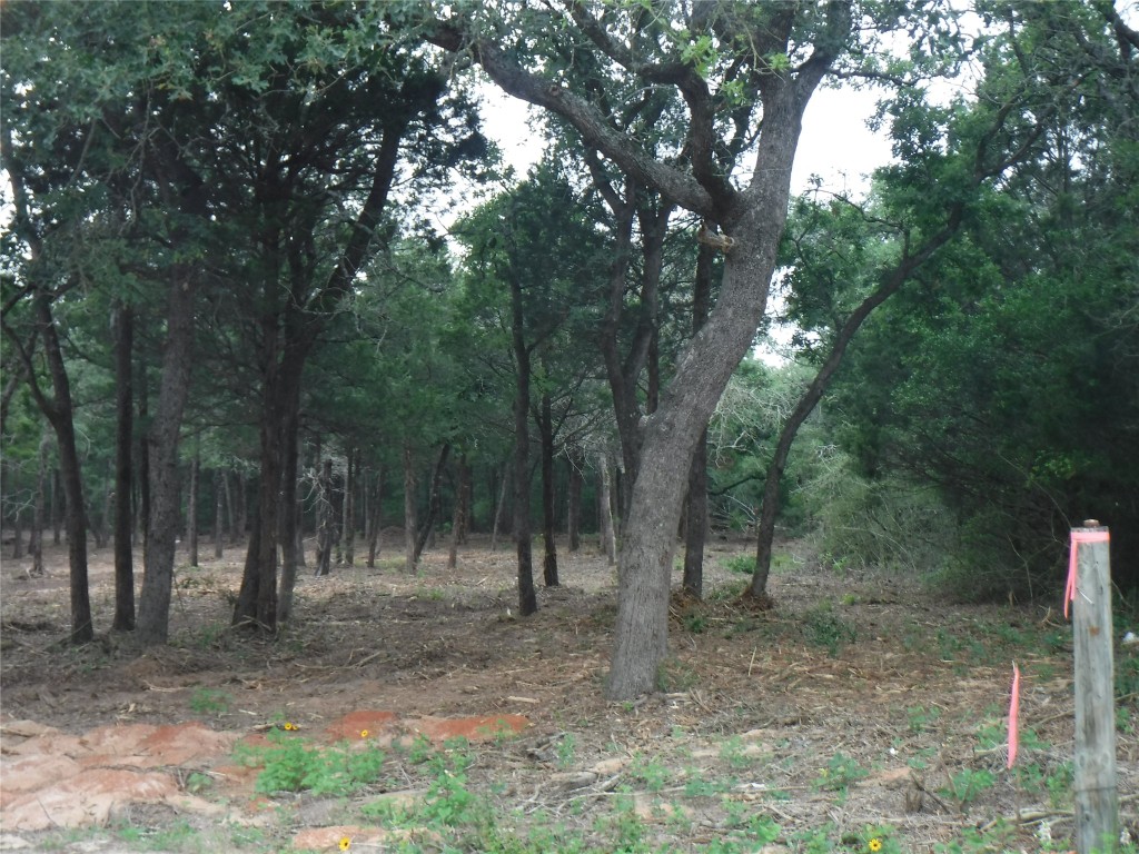 a view of outdoor space