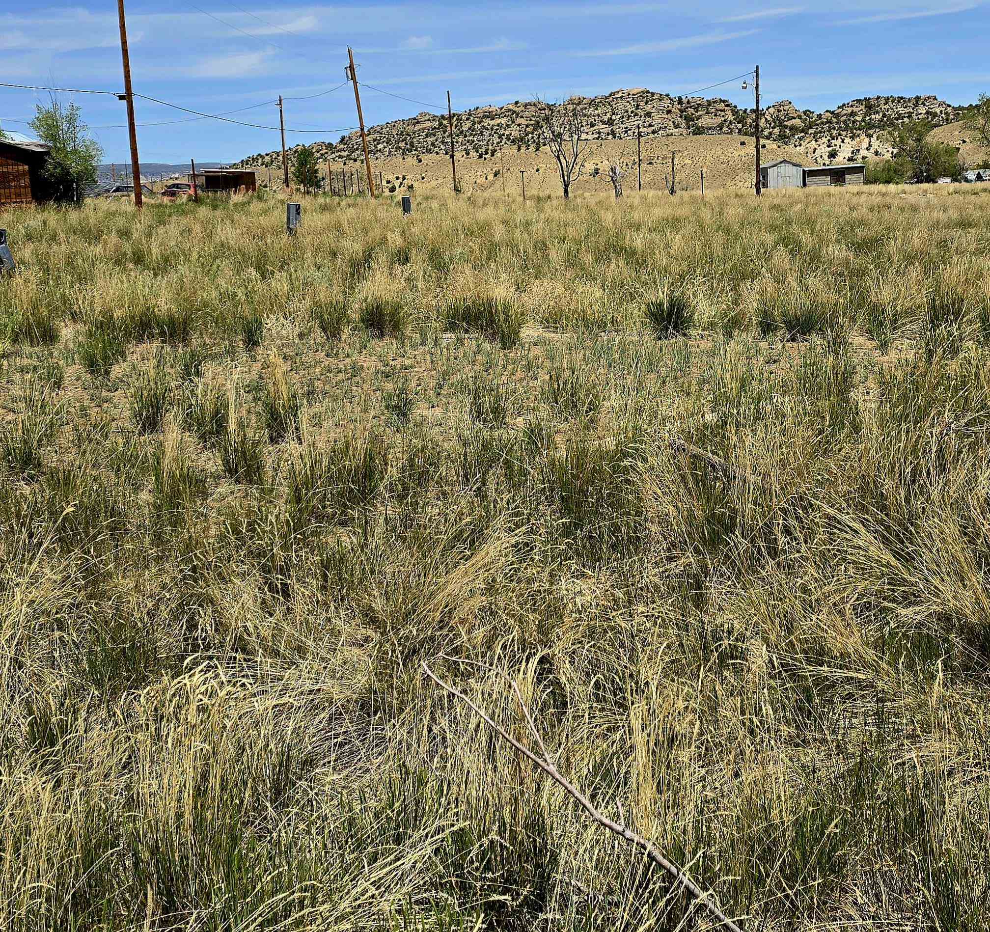 a view of a dry yard