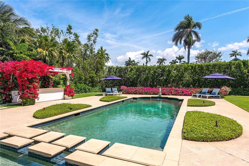 a view of a swimming pool with a yard and plants