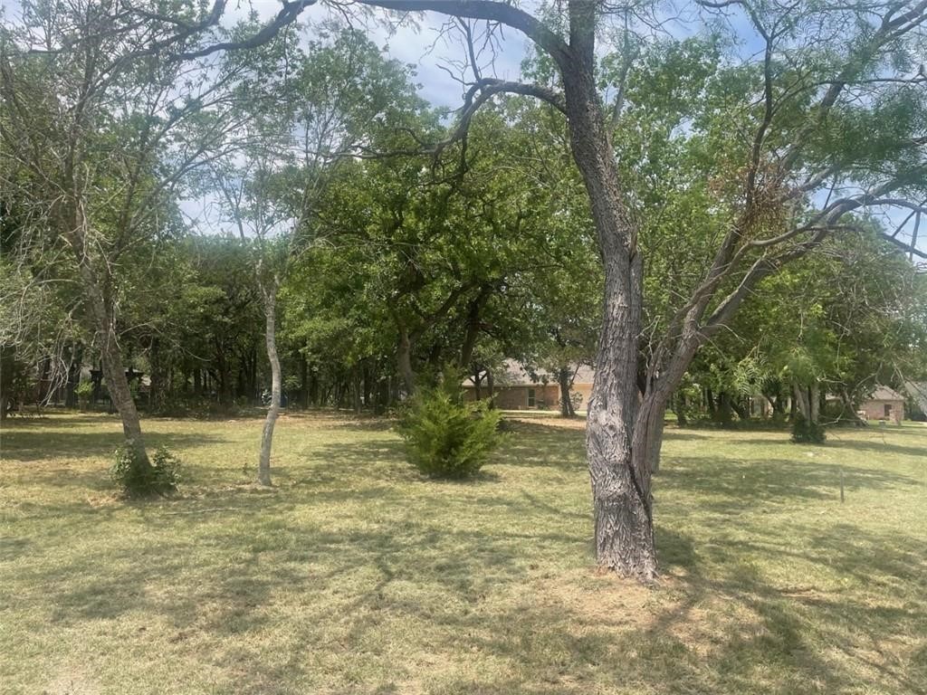 a view of a yard with a tree